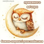 Картинка доброго вечора № 18