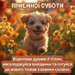 Картинка доброго ранку суботи № 5